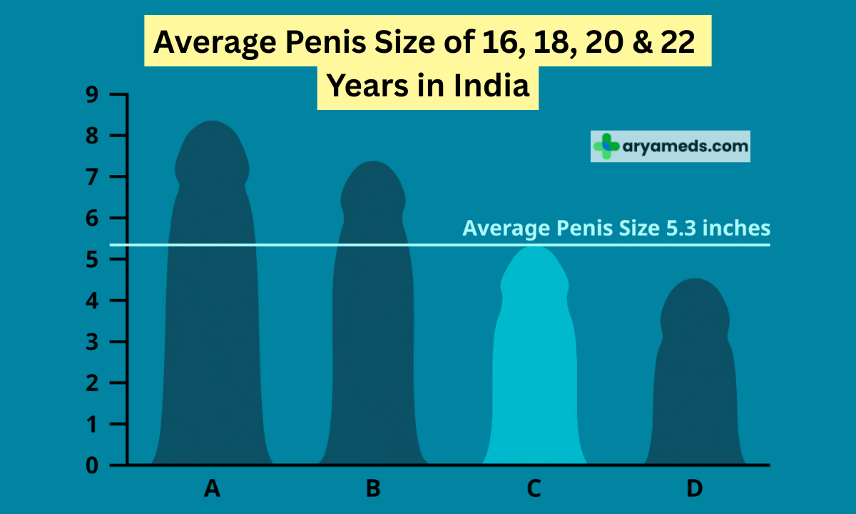 Average Penis Size of 16, 18, 20 & 22 Years in India